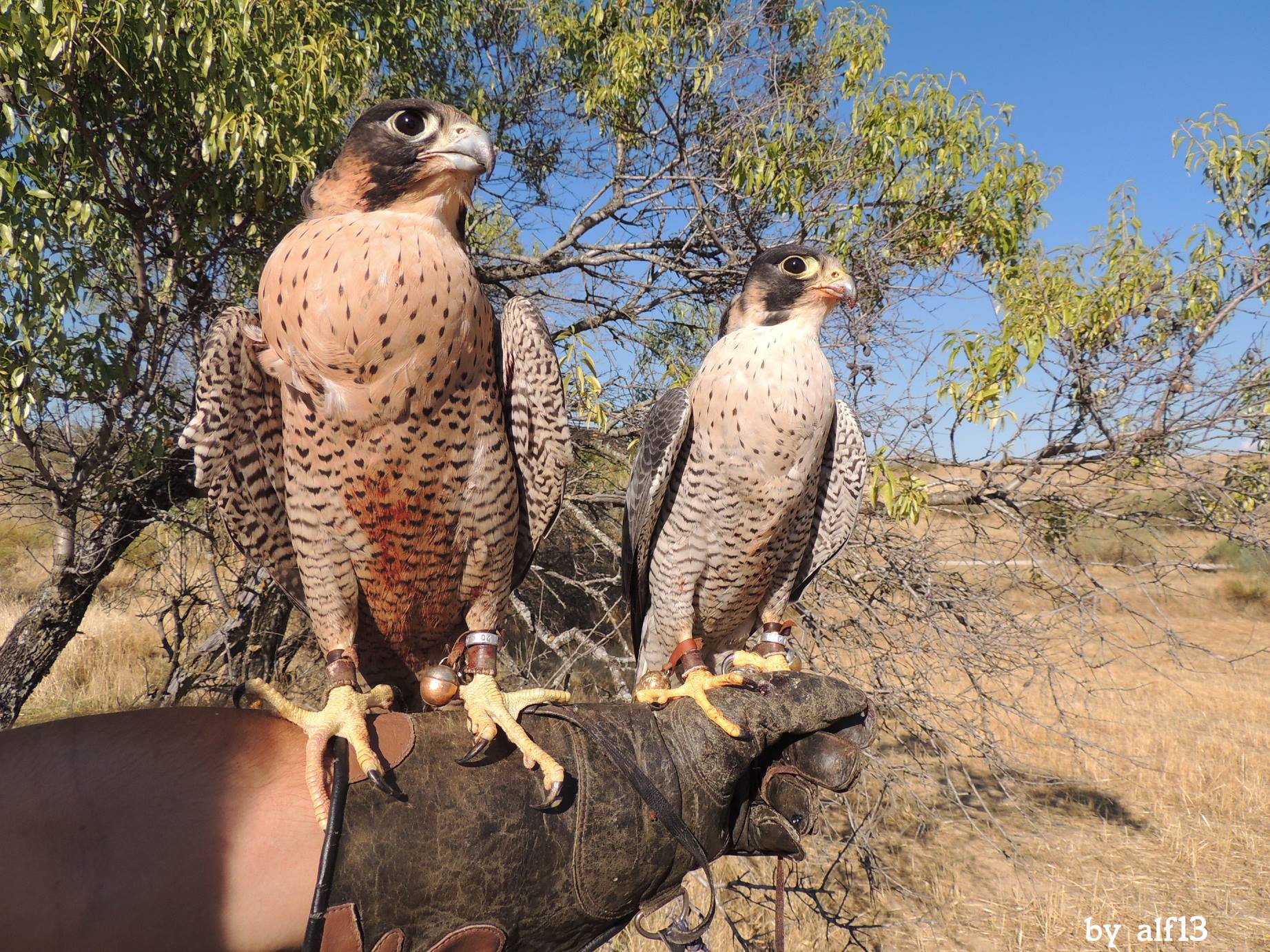 Home 892936 10202236478811911 1984610944 o