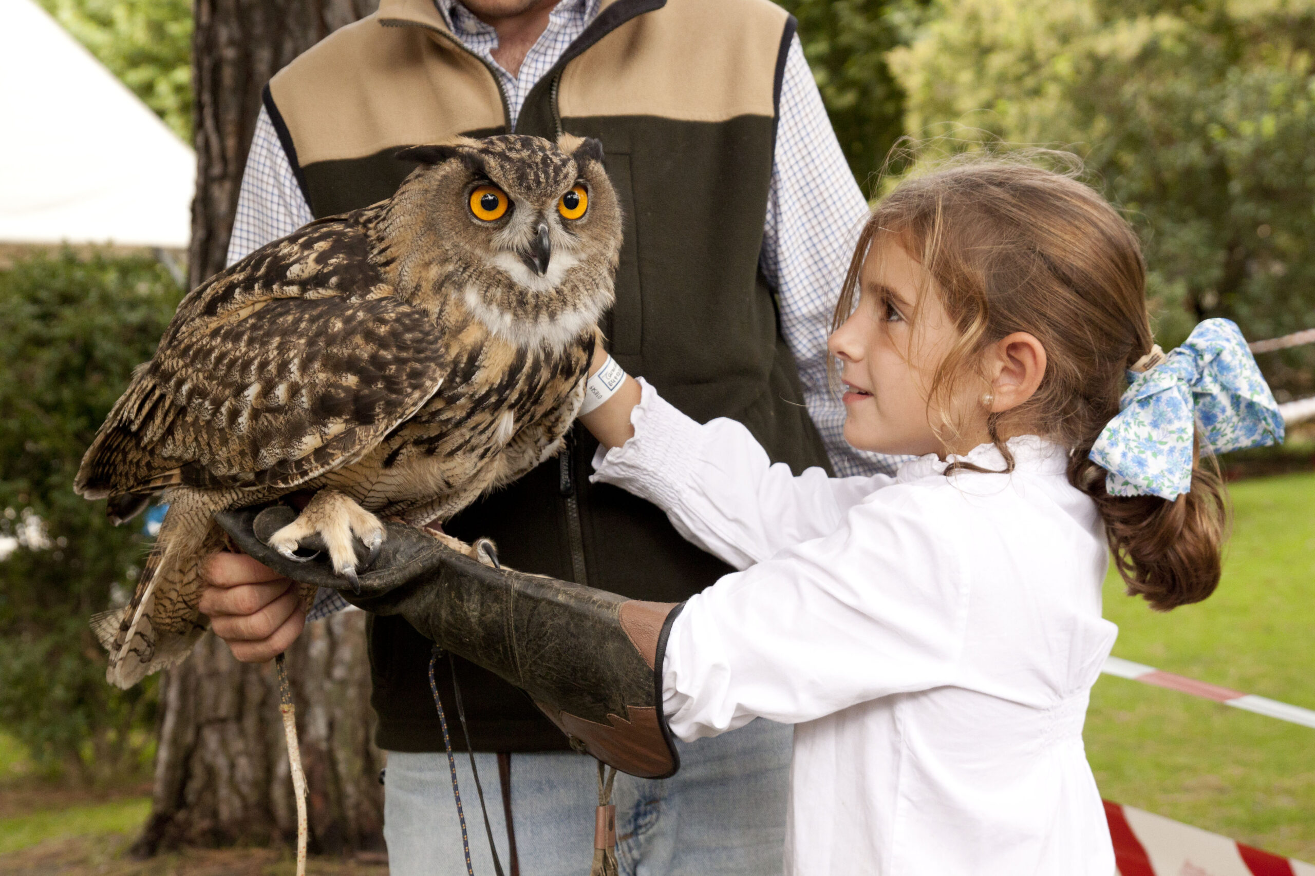 Home exhibicion niña buho