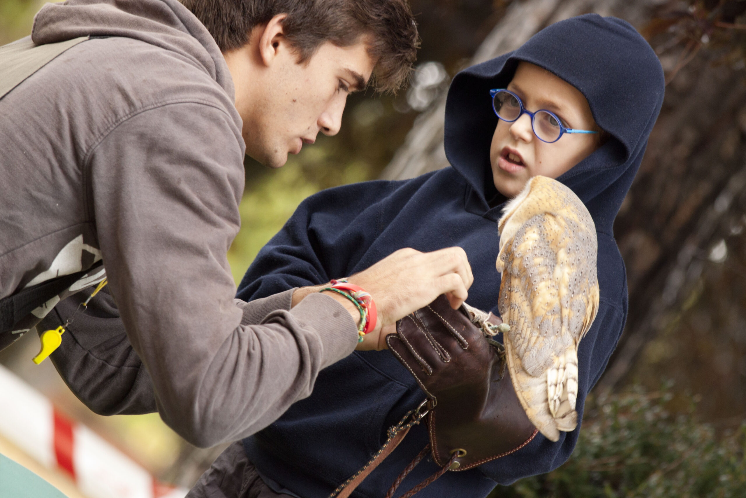 Home niño lechuza exhibicion cetreria